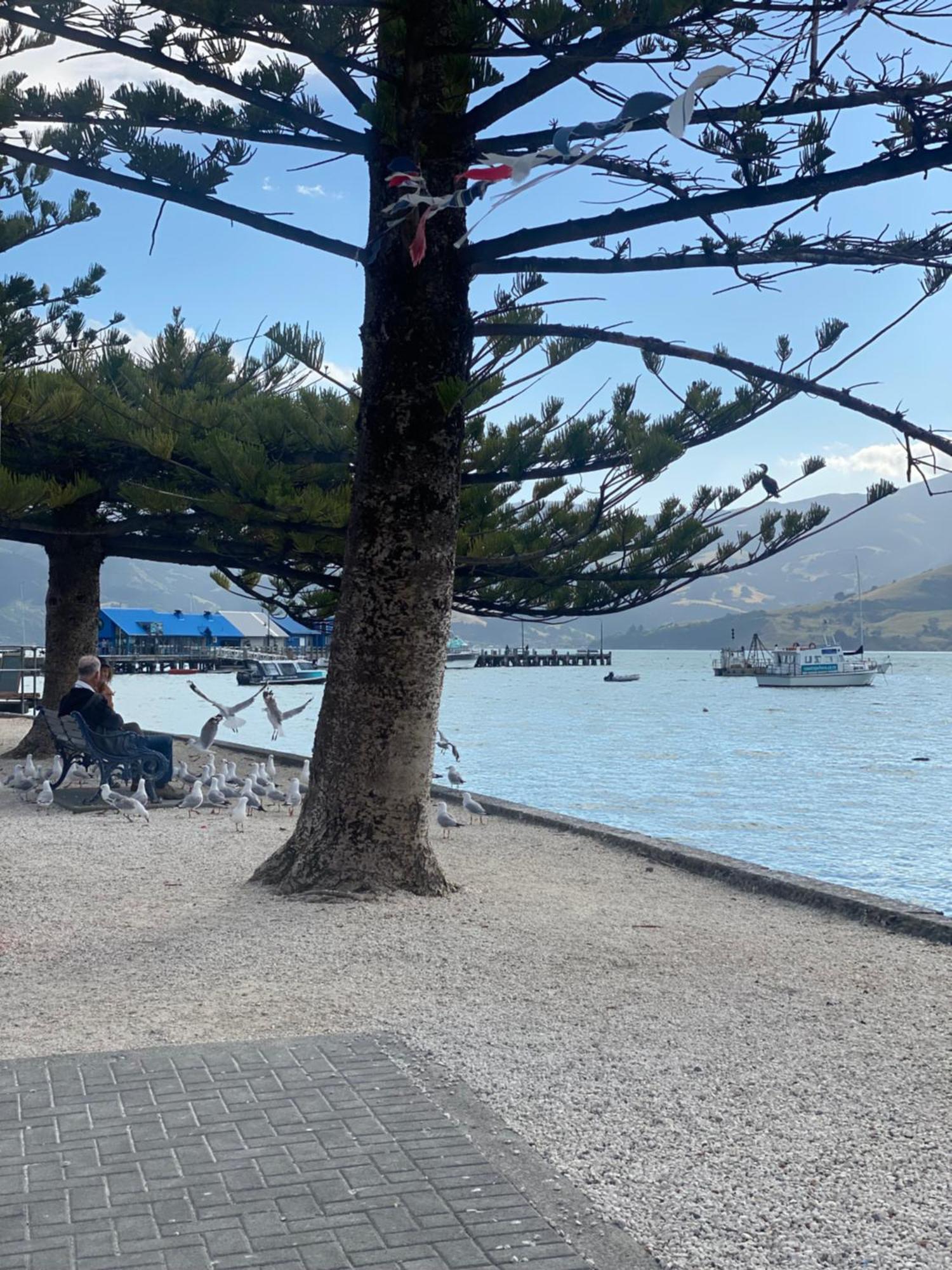 Hideaway - A Couples Retreat Villa Akaroa Luaran gambar